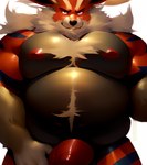 anthro belly big_muscles big_pecs black_belly black_nose body_hair chest_tuft countershading curiousoxide eeveelution flareon fur generation_1_pokemon generation_7_pokemon genitals happy_trail hybrid incineroar looking_at_viewer male musclegut muscular muscular_anthro muscular_male narrowed_eyes neck_tuft nipples pecs penis pokemon_(species) red_body red_fur red_nipples red_penis simple_background solo stripes tuft white_background