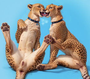 anatomically_correct anatomically_correct_genitalia animal_genitalia animal_pussy anus bedroom_eyes blue_background blue_eyes bodily_fluids breath breath_cloud butt claws collar detailed_fur dripping duo feet feline_pussy female female/female feral fluffy fluffy_fur foot_focus french_kissing fur genital_fluids genitals kissing looking_at_viewer lying multicolored_body narrowed_eyes neck_tuft nipples nude open_mouth paws presenting presenting_anus presenting_pussy pussy pussy_juice pussy_juice_drip pussy_juice_puddle pussy_juice_string realistic realistic_fur saliva saliva_string seductive simple_background soles solo spots spotted_body spotted_fur spreading tail teeth_showing toe_claws tongue tongue_out tuft yellow_body yellow_fur mysticcoyote cheetah felid feline leopard mammal pantherine detailed hi_res