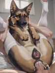 anal anal_penetration animal_genitalia animal_pussy anus bed bedroom bestiality bodily_fluids canine_genitalia canine_pussy clothing cum cum_in_ass cum_inside duo female female_on_human female_penetrated feral feral_penetrated full_nelson furniture genital_fluids genitals human_on_feral human_penetrating human_penetrating_female human_penetrating_feral inside interspecies legs_up lingerie looking_at_viewer male male/female male_on_feral male_penetrating male_penetrating_female male_penetrating_feral paws penetration plump_labia pussy sex spread_legs spreading smauggers canid canine canis domestic_dog german_shepherd herding_dog human humanoid mammal pastoral_dog hi_res