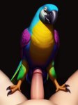 absurd_res ambiguous_gender animal_genitalia avian beak bestiality bird blue_body blue_feathers cloaca cloacal cloacal_penetration detailed detailed_feathers dominant dominant_feral duo feathers feral first_person_view genitals green_body green_feathers hi_res human human_on_feral interspecies looking_at_viewer male male/ambiguous male_on_feral mammal multicolored_body multicolored_feathers nude on_top parrot penetration penis sex shuffur smile standing tail_feathers talons wings