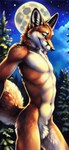 anthro bedroom_eyes blue_eyes canid canine carolinadog90 collar crotch_tuft forest forest_background fox full_moon hi_res male mammal moon narrowed_eyes nature nature_background night nude plant seductive slim smile solo tongue tongue_out tree tuft