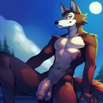 1:1 anthro balls canid canine canis foreskin fur genitals hi_res humanoid_genitalia humanoid_penis legoshi_(beastars) looking_at_viewer male mammal nude outside penis sforza sitting solo solo_focus sun vein veiny_penis wolf