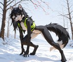 anthro black_body black_fur black_hair black_nose breasts clothing female fur green_eyes hair nude pantsless small_breasts snow snow_on_ground snowing solo topwear vest white_body white_fur winter ft-27 canid canine canis mammal wolf