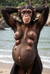 anthro armpit_showing beach breasts brown_body brown_eyes brown_fur female front_view fur genitals hands_behind_head looking_at_viewer multi_breast multiple_nipples nipples nude outdoor_nudity outside pink_nipples pregnant pussy realistic sand seaside solo water chimpluver ape chimpanzee haplorhine mammal primate hi_res portrait three-quarter_portrait