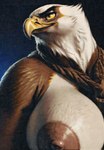 8747928hp accipitrid accipitriform anthro avian beak bird blue_background breasts brown_body brown_feathers brown_nipples countershading eagle eyebrows feathers female fluffy fluffy_body gradient_background head_turned hi_res nipples non-mammal_breasts non-mammal_nipples simple_background solo thick_eyebrows white_body white_breasts white_countershading white_head yellow_sclera