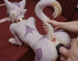 animal_genitalia animal_pussy anthro anthro_penetrated anus balls bed butt canine_genitalia canine_pussy collar female fur furniture genitals gold_(metal) gold_collar human_on_anthro interspecies looking_pleasured male male/female open_mouth penetration penis pink_body pink_fur pussy solo_focus tail tail_grab vaginal crimson_fenrir_(director) nintendo pokemon generation_5_pokemon human mammal mienshao pokemon_(species) hi_res