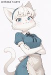 anthro blue_clothing blue_dress blue_eyes clothing crossed_arms dress female fluffy_fur fur mia_(vkontakte) simple_background smile solo tail white_apron white_background white_body white_fur leyendas_arts vkontakte felid feline mammal hi_res