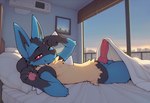 anthro bed bed_sheet bedding claws detailed_background erection fur furniture genitals male nintendo nude penis pillow pokemon red_eyes smile smiling_at_viewer solo window unknown_director generation_4_pokemon lucario pokemon_(species)