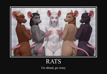 anthro black_body black_fur black_hair blonde_hair blue_eyes brown_body brown_eyes brown_fur butt covering covering_breasts demotivational_poster female freckles fur genitals green_eyes grey_body grey_fur group hair light_brown_fur looking_at_viewer navel nipples pink_eyes pink_nipples pink_nose pussy red_hair silver_hair simple_background tail white_body white_fur crusader_(director) mammal murid murine rat rodent absurd_res hi_res huge_filesize meme