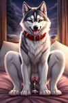 anatomically_correct anatomically_correct_genitalia bed bodily_fluids breath canid canine canis collar crouching cum cum_in_pussy cum_inside cum_on_bed director_hjak domestic_dog female feral fur furniture genital_fluids genitals grey_body grey_fur husky leaking_cum mammal nordic_sled_dog panting pussy solo spitz tongue tongue_out white_body white_fur