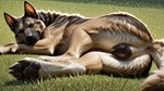Rating: e
ID: 105388
Date: 2025-05-11 12:29:31 -0400
Status: active
Score: 62
anatomically_correct anatomically_correct_genitalia anatomically_correct_pussy animal_genitalia animal_pussy anus canid canine canine_genitalia canine_pussy canis director_yiffy domestic_dog female feral genitals german_shepherd grass herding_dog hindpaw looking_at_viewer lying mammal on_grass on_side outside pastoral_dog pawpads paws plant pussy realistic solo post #105388