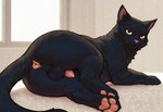 anus balls black_body black_fur feral fur genitals looking_at_viewer male pawpads paws penis slightly_chubby solo domestic_cat felid feline felis mammal