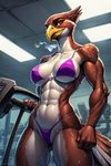 abs anthro athletic athletic_anthro athletic_female beak bikini bodily_fluids breasts clothing exercise feathers female gym navel nipple_outline solo sweat sweating_profusely swimwear tail_feathers workout birdovo avian bird falcon falconid hi_res