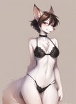 <3 anthro black_bra black_clothing black_panties black_underwear bra brown_hair canid canine chest_tuft choker clothed clothing female front_view fur hair hi_res inner_ear_fluff jewelry keldo lingerie looking_at_viewer mammal navel necklace panties seductive slim solo thigh_gap tuft underwear white_body white_fur white_inner_ear_fluff