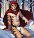 abs anthro areola bethesda_softworks brown_eyes bulge cape clothing felid forest fur hi_res hood jockstrap khajiit male mammal navel navel_piercing nipple_piercing nipples piercing plant riseflux seductive slim snow solo stripes text text_on_clothing text_on_underwear the_elder_scrolls tree underwear