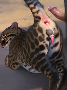 after_sex animal_genitalia animal_penis anthro anthro_on_feral anus balls bestiality big_dom_small_sub bodily_fluids cum cum_in_ass cum_inside cum_on_balls cum_on_sheath cum_string disembodied_penis dominant duo erection feline_balls feline_penis feline_sheath feral gaping gaping_anus genital_fluids genitals humanoid_genitalia humanoid_penis leaking_cum looking_at_viewer looking_back lying male male/male on_front pawpads paws penis pink_nose pink_pawpads raised_tail rear_view sheath size_difference solo_focus voyeurism whiskers yellow_eyes drla felid feline human leopardus mammal ocelot hi_res