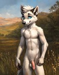 absurd_res anthro balls black_nose blue_eyes canid canine feralfresh flaccid fox fur genitals hair hi_res huge_filesize humanoid_genitalia humanoid_penis inner_ear_fluff looking_at_viewer male mammal navel outdoor penis smile solo solo_focus tuft white_body white_fur white_hair