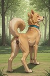 animal_genitalia animal_pussy anus blush blushing_at_viewer butt canine_genitalia canine_pussy clenched_teeth collar ears_up female feral fur genitals grass looking_at_viewer looking_back neck_tuft plant presenting pussy raised_tail side_view smile smiling_at_viewer solo teeth tree tuft angry_puppy bird_dog canid canine canis domestic_dog golden_retriever hunting_dog mammal retriever hi_res