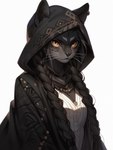 amber_eyes anthro black_body black_fur black_hair black_nose braided_hair breasts clothed clothing female fur hair hood jewelry looking_at_viewer necklace simple_background solo white_background sappy_(director) felid feline mammal hi_res portrait