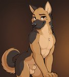 anatomically_correct anatomically_correct_genitalia animal_genitalia anthro balls blush fully_sheathed genitals half-closed_eyes leaning leaning_forward looking_at_viewer male narrowed_eyes nude sheath smile solo standing epicfox perry_(epicfox) canid canine canis domestic_dog german_shepherd herding_dog mammal pastoral_dog hi_res