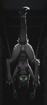 3_toes 5_fingers anthro anus beak bound feet female fingers genitals legs_tied nipples pussy solo tail_tied toes upside_down 17k shadow_(oldhroft) velari absurd_res hi_res