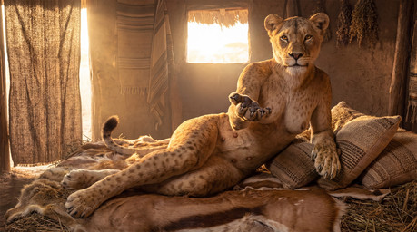 anthro bedroom_eyes breasts female inside inviting looking_at_viewer narrowed_eyes nipples photorealism pillow reaching_towards_viewer seductive solo teats tribal tribalcat felid feline lion mammal pantherine hi_res