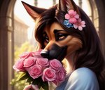 accessory anthro bouquet brunette canid canine canis clothing domestic_dog female flower flower_in_hair german_shepherd hair hair_accessory herding_dog lurktime_(director) mammal pastoral_dog plant romantic rose_(flower) sniffing solo topwear