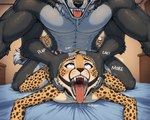 anthro begging bodily_fluids butt dominant duo faceless front_view low-angle_view male male/male ring saliva size_difference morrian canid canine canis cheetah felid feline mammal wolf hi_res