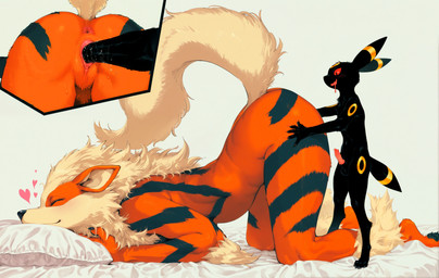 all_fours animal_genitalia animal_penis anthro anthro_on_anthro anthrofied anus ass_up balls bed biped black_body black_fur bodily_fluids butt canine_genitalia canine_penis claws cutaway digitigrade drooling duo erection eyes_closed female female_penetrated finger_claws fisting from_behind_position fur furniture genital_fluids genitals hand_on_leg hand_on_thigh heart_symbol knot larger_anthro larger_female larger_penetrated looking_pleasured male male/female male_penetrating male_penetrating_female nude on_bed open_mouth orange_body orange_fur penetration penile penile_penetration penis penis_in_pussy pillow plantigrade pokemorph pussy pussy_juice raised_tail red_eyes saliva sex sheath simple_background size_difference smaller_male smile tail toe_claws tuft vaginal vaginal_penetration wavy_mouth soloko nintendo pokemon arcanine canid canine eeveelution generation_1_pokemon generation_2_pokemon mammal pokemon_(species) umbreon hi_res