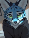 anthro blue_body blue_fur clothing fur green_eyes hoodie looking_at_viewer male solo solo_focus spots spotted_body spotted_fur topwear white_body white_chest white_fur soggaserval felid feline mammal serval bust_portrait hi_res portrait shaded