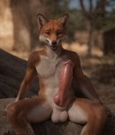 2024 anatomically_correct animal_genitalia animal_penis anthro anthrofied aroused athletic athletic_anthro balls belly big_penis biped black_ear_tips black_ears black_pupils blurred_background canid canine canine_genitalia depth_of_field detailed detailed_fur english_description english_text erection flat_chested fluffy fluffy_body fluffy_fur fox fur genitals glans hi_res huge_penis hyper hyper_genitalia hyper_penis inner_ear_fluff knot leaf light_body light_skin male mammal monotone_genitals monotone_penis multicolored_body multicolored_fur open_mouth outdoors penis pinacolada_rv1_(model) pink_body pink_glans pink_knot pink_penis pink_skin plant pupils realism realistic realistic_fur red_body red_fox red_fur red_glans red_knot red_penis red_skin rock short_fur sitting_on_ground sitting_on_rock slim spread_legs spreading stable_diffusion tailless tan_balls tan_belly tan_body tan_fur text thick_penis tree tuft two_tone_body two_tone_fur watermark wgeko white_inner_ear white_inner_ear_fluff