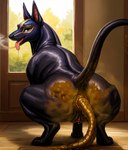 anatomically_correct anatomically_correct_anus anatomically_correct_genitalia anatomically_correct_pussy animal_focus anubis anus crouching deity fart fart_fetish feces female feral fur gaping gaping_anus genitals hi_res looking_at_viewer pussy rear_view scat solo spread_legs spreading