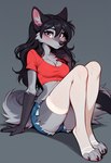 anthro bottomwear breasts clothing crop_top female legwear looking_at_viewer medium_breasts shirt shorts sitting solo stockings thigh_highs topwear foxlover7796 hioshiru canid canine canis enfield mammal hi_res