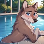 blue_eyes blush female feral fur looking_at_viewer smile solo swimming_pool water wet wet_body wet_fur foxlover7796 aleu_(balto) canid canine canis domestic_dog hybrid mammal wolfdog