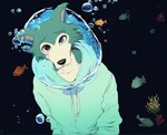 anthro armor black_background blue_eyes bubble clothing femboy headgear helmet heterochromia hoodie looking_at_viewer male red_eyes scar simple_background solo topwear underwear 7oxytron legoshi_(beastars) anthozoan canid canine canis cnidarian coral fish mammal marine wolf