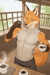 athletic athletic_male beverage biped bottomwear brown_body claws clothed clothing coffee coffee_cup coffee_mug container countershading cup day dipstick_tail finger_claws fingers fur gloves_(marking) holding_cup holding_object looking_at_viewer male markings multicolored_body multicolored_fur muscular muscular_male orange_body orange_fur pants shirt smile smug solo steam sweater tail tail_markings tea topwear white_body white_fur anonymous_director canid canine fox mammal red_fox hi_res