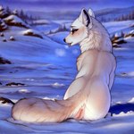1:1 arctic_fox canid canine colored detailed detailed_background female feral fox fur genitals hi_res lungfish1223 mammal presenting purple_eyes pussy sitting snow solo tongue tongue_out white_body white_fur