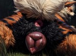 anatomically_correct anatomically_correct_genitalia animal_genitalia animal_pussy anus arcanine canid canine canine_genitalia canine_pussy close-up director_firewolf female feral fur furryrock furryrock_(model) generation_1_pokemon genitals glistening glistening_genitalia grass hi_res looking_back lying mammal on_front plant pokemon_(species) pussy raised_tail realistic realistic_fur rear_view solo