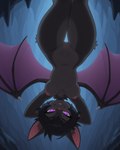 anthro black_body black_fur black_hair breasts cave cute_fangs female fur genitals glowing glowing_eyes hair hands_behind_head hanging_breasts hanging_from_ceiling medium_breasts membrane_(anatomy) membranous_wings nipples pink_nose pupils purple_eyes pussy short_hair slit_pupils smile smug solo stalactite thigh_gap upside_down wings sagrael chiropteran microbat phyllostomid vampire_bat yangochiropteran absurd_res hi_res