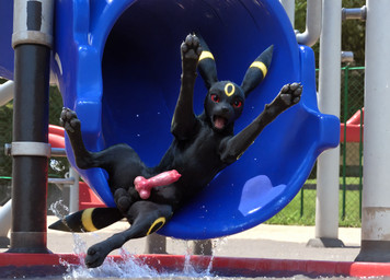 amusement_park animal_genitalia animal_penis balls canine_genitalia canine_penis digitigrade feces fence feral genitals looking_at_viewer male open_mouth paws penis raised_paw slide solo splash surprise vein veiny_penis water water_park pleasedontlook nintendo pokemon eeveelution generation_2_pokemon pokemon_(species) umbreon hi_res