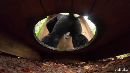 anthro bathroom butt clothing costume fart fart_cloud fart_fetish feral furbrushfox fursuit gas male smelly solo toilet mammal mephitid skunk animated hi_res long_playtime webm