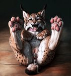 after_anal after_sex after_vaginal ahegao animal_genitalia animal_pussy anus begging begging_pose big_feet black_claws bodily_fluids cheek_tuft claws claws_out collar cum cum_covered cum_on_face cum_on_feet cum_on_tongue ear_tuft facial_tuft feet feline_pussy female feral fluffy_fur foot_focus furniture genital_fluids genitals golden_eyes gradient_background high-angle_view inner_ear_fluff leaking_cum legs_up looking_at_viewer looking_pleasured lying messy on_back on_table open_mouth pawpads pink_pawpads pose presenting pussy short_tail simple_background slippery_tongue solo spread_legs spreading table tongue tongue_out tuft whiskers nightdancer zaire felid feline lynx mammal full-length_portrait hi_res portrait