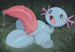 animal_genitalia animal_penis blue_body bodily_fluids cetacean_penis feral genital_fluids genitals looking_at_viewer male open_mouth penis presenting solo tapering_penis twinkaton nintendo pokemon amphibian generation_2_pokemon pokemon_(species) wooper