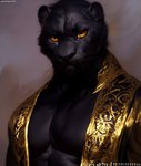 anthro black_body black_fur felid fur gold_clothing gold_eyes gold_robe looking_at_viewer male mammal melanistic muscular muscular_anthro muscular_male pantherine solo tahlia_(director) whiskers yellow_eyes