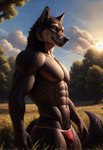 anthro bottomwear bulge canid canine canis clothing dark_body dark_fur field fur hyper_realistic_ai lalkin male mammal muscular nipples panties red_clothing red_panties red_underwear shorts smile solo sunset tail underwear wolf