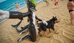 2_penises animal_genitalia animal_penis animal_pussy anthro beach bestiality claspers duo female feral genitals green_eyes green_hair hair male male/female multi_genitalia multi_penis penetration penis public public_sex pussy sea seaside selfie sex vaginal vaginal_penetration water alvos canid canine canis domestic_dog fish mammal marine shark