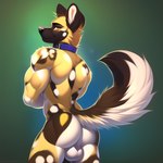 absurd_res african_wild_dog anthro balls bumblebee95 butt canid canine collar fluffy fluffy_tail genitals hi_res looking_at_viewer male mammal muscular muscular_anthro muscular_male rear_view solo