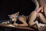 anal anthro balls butt duo female genitals male male/female penis pussy raised_tail hyperion felid human khajiit mammal