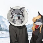 anthro female male male/female sibling twins acadus canid canine canis domestic_dog husky mammal nordic_sled_dog spitz