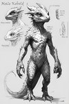 3_toes 4_fingers anthro claws drawing feet fingers flat_chested grey_background grey_body horn long_tail male nude pupils scales sharp_claws simple_background slit_pupils solo spiked_tail spikes spikes_(anatomy) text toes dimot humanoid kobold scalie black_and_white english_text hi_res monochrome portrait sketch traditional_media_(artwork)